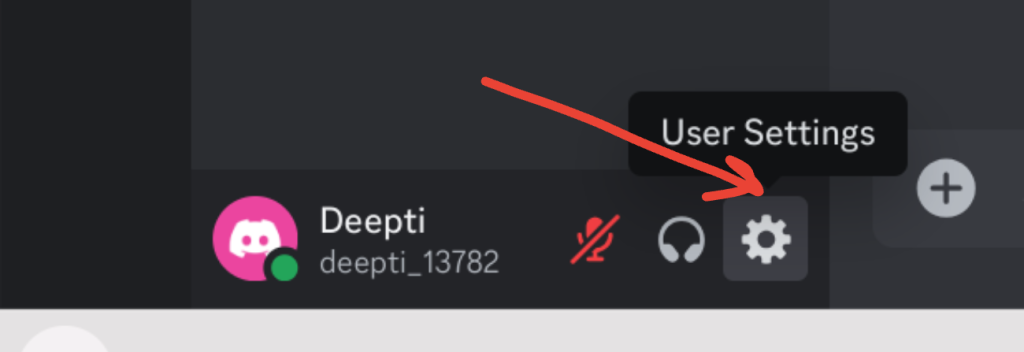 image to click the settings icon at the bottom-left and stream Disney Plus on Discord 