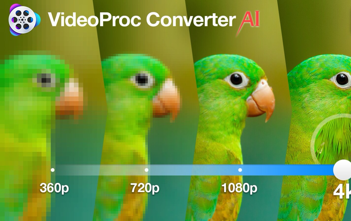 Image of the VideoProc Converter AI