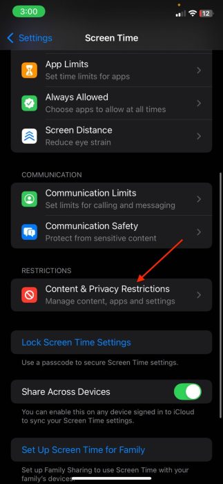 Image of the Content & Privacy Restrictions section