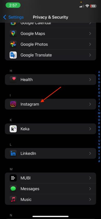 Image of the Instagram app section