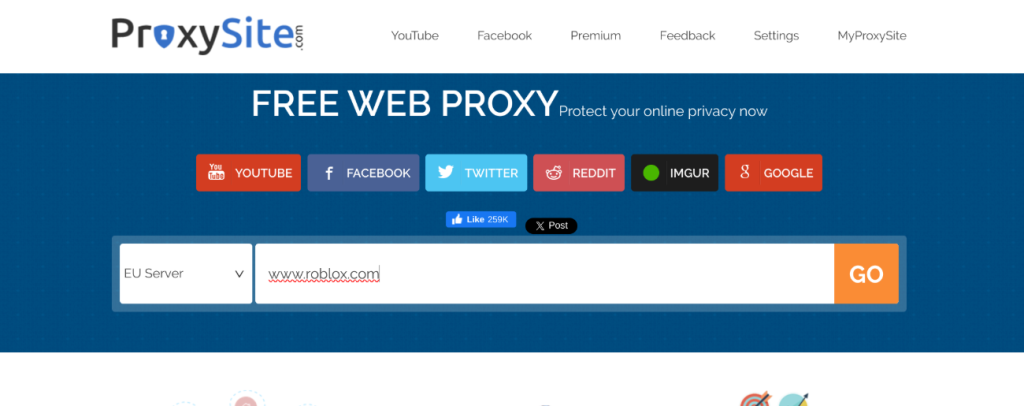 image to type in proxy site’s URL field and play Roblox on Chromebook