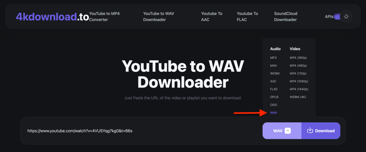 Screenshot of the WAV option on the Yout.com website to convert Youtube video to WAV