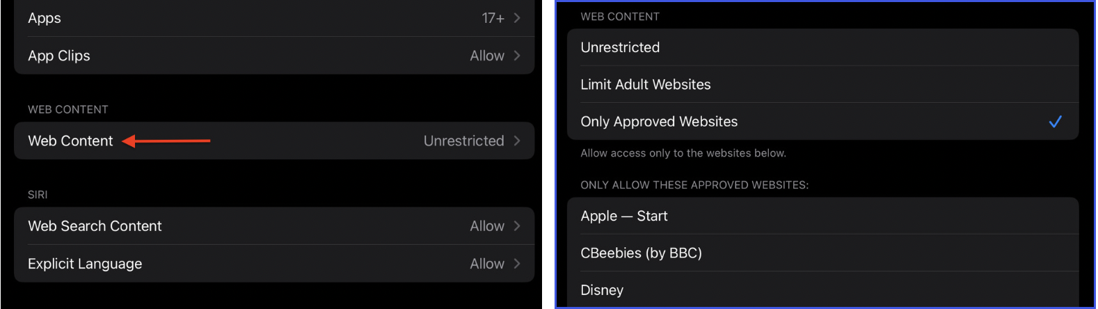 Image of the block websites settings in iOS
