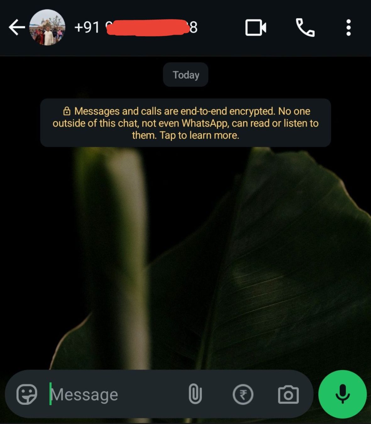 image of chat window will pop up to Send WhatsApp without saving the number