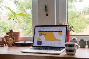 Cool websites featured image