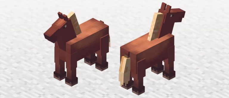 Horse image