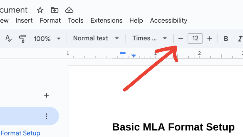 image to select Times New Roman and font size 12