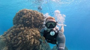 Image of the AirBuddy diving