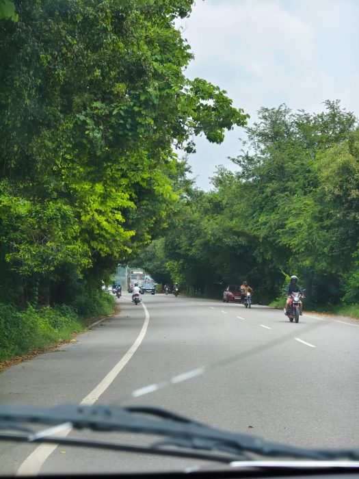 Camera sample from vivo t4 pro