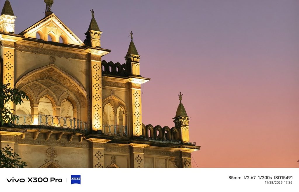 Zoom sample from X300 Pro