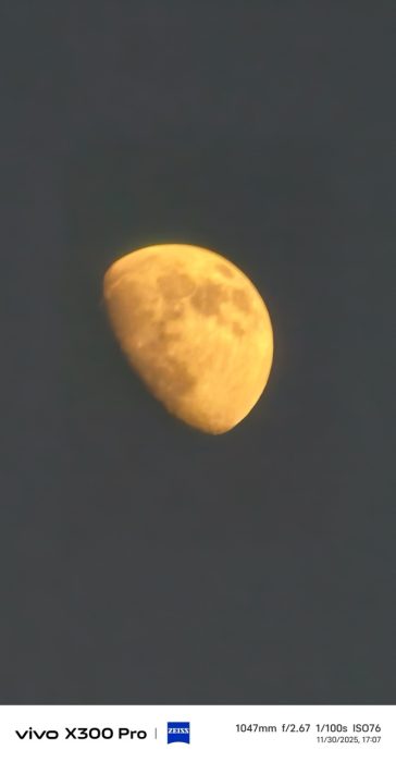 Zoom sample from X300 Pro