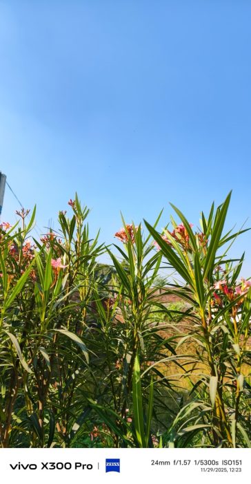 Camera sample from X300 Pro