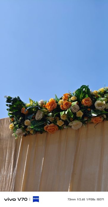 vivo V70 Camera sample-10