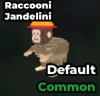 Raccooni-Jandelini